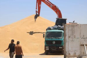 التجارةتعلن نجاح موسم تسويق الحنطة ٢٠٢٥ في المحافظات الجنوبية
